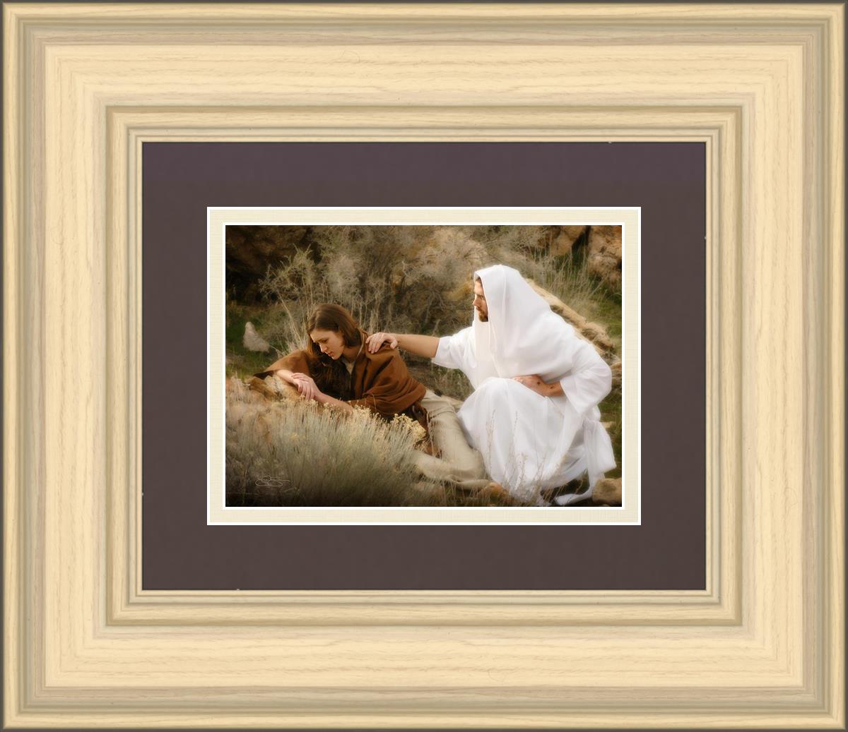 The Comforter