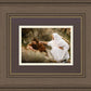 The Comforter