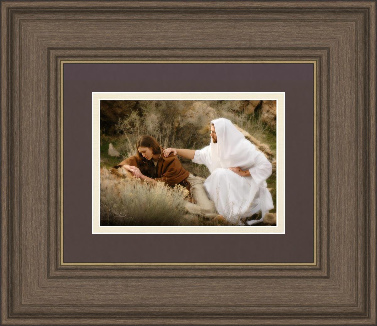 The Comforter