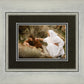 The Comforter