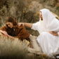 The Comforter