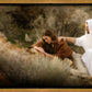 The Comforter