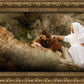 The Comforter