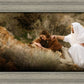 The Comforter