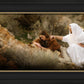 The Comforter