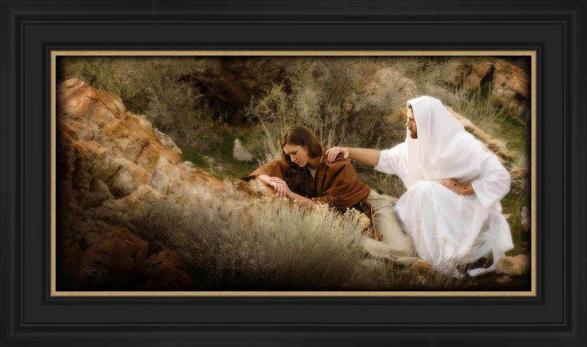 The Comforter