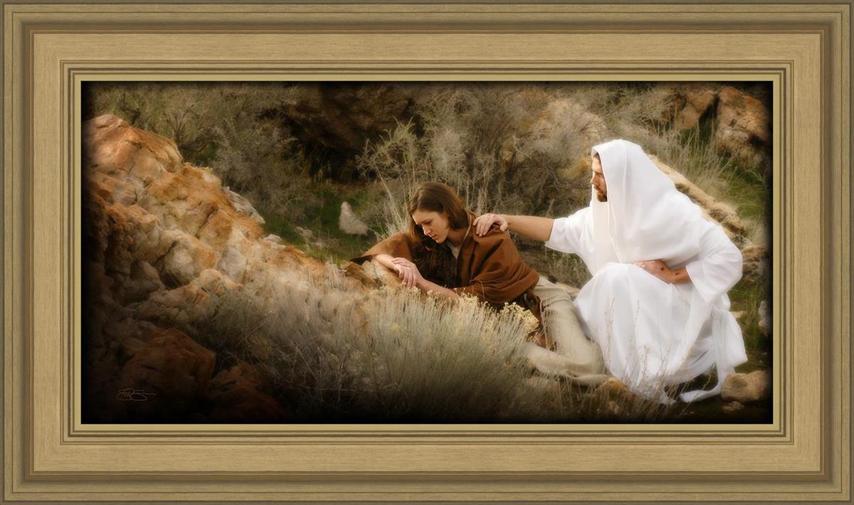 The Comforter