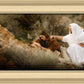 The Comforter