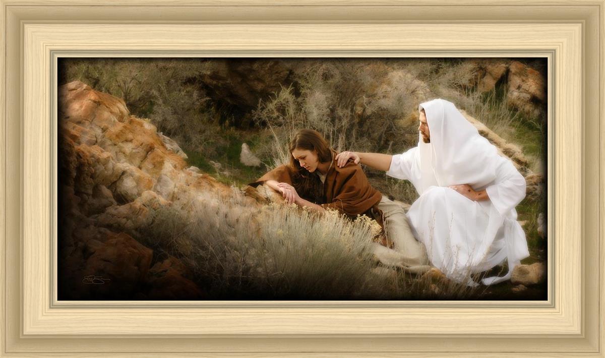 The Comforter
