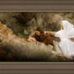 The Comforter