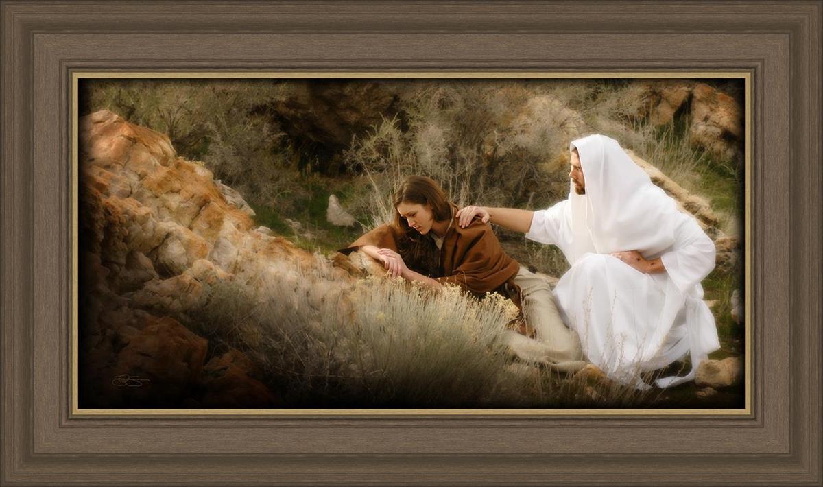 The Comforter
