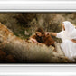 The Comforter