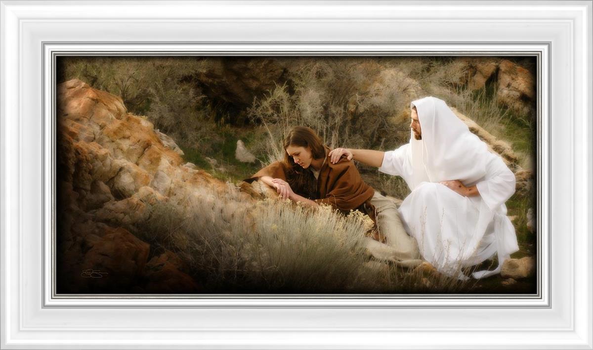 The Comforter