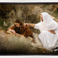 The Comforter