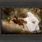 The Comforter