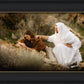 The Comforter
