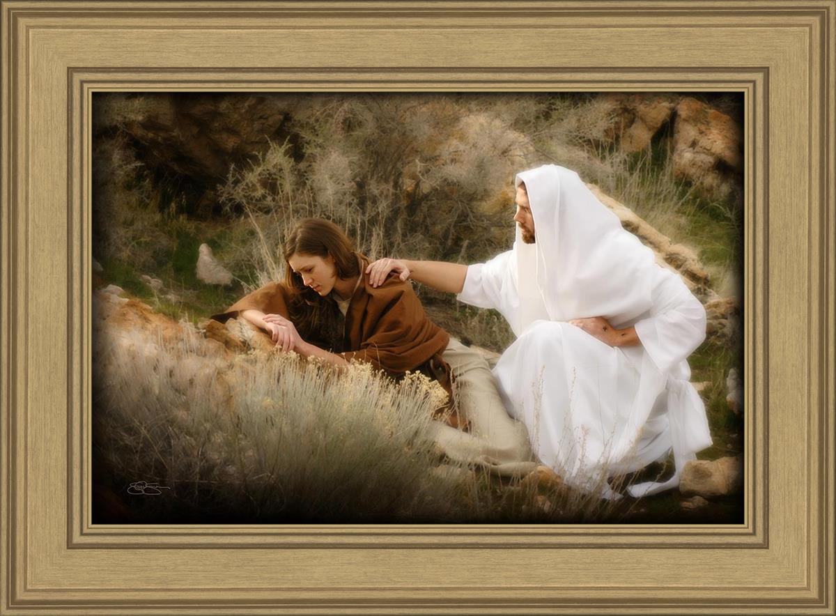 The Comforter