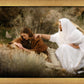 The Comforter