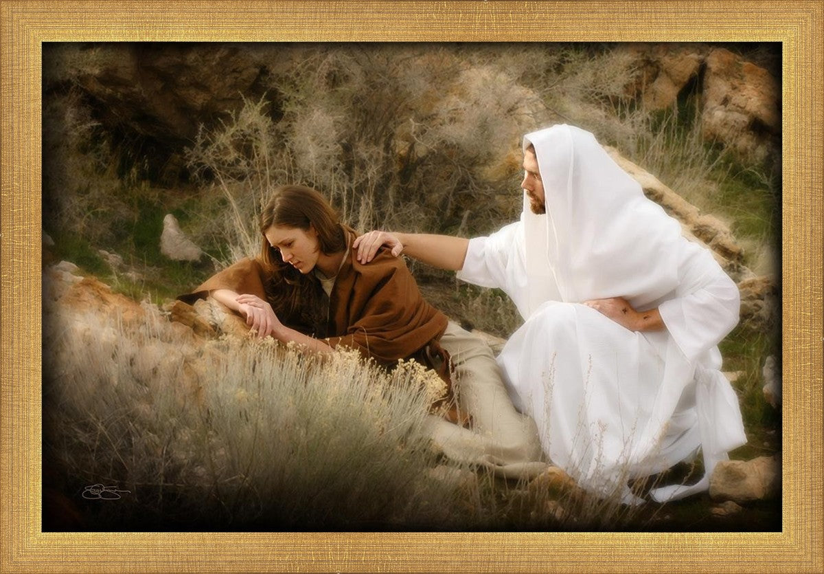 The Comforter