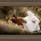 The Comforter