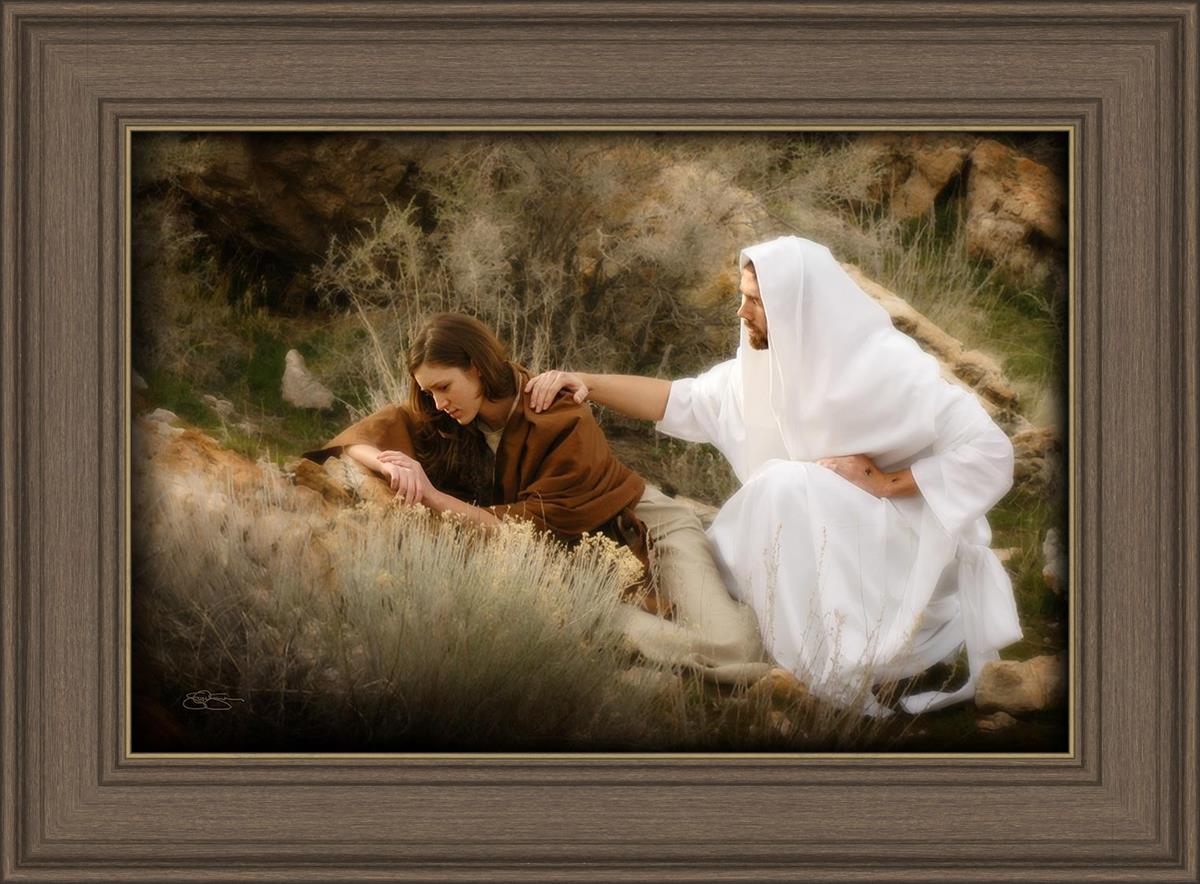 The Comforter