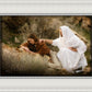 The Comforter