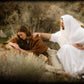 The Comforter