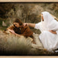 The Comforter
