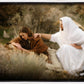 The Comforter