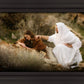 The Comforter