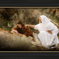The Comforter