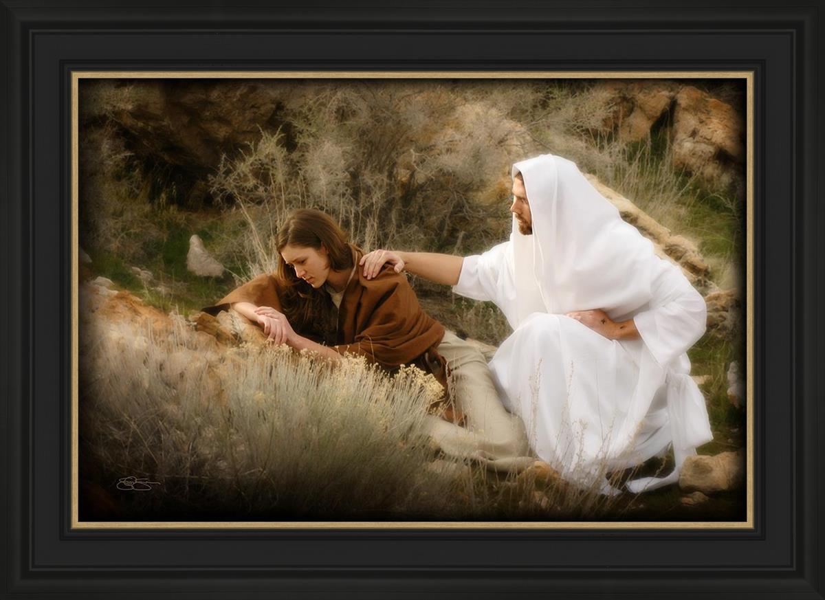 The Comforter