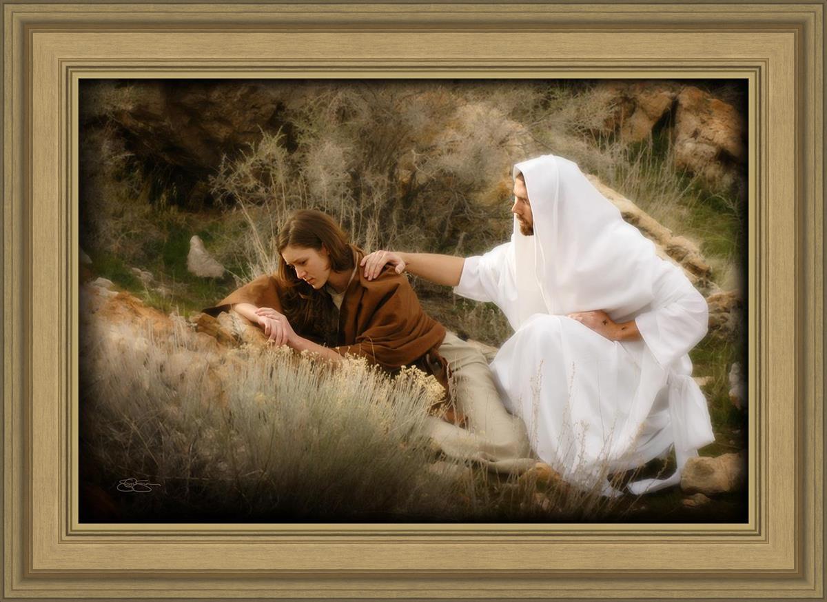 The Comforter