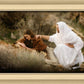 The Comforter