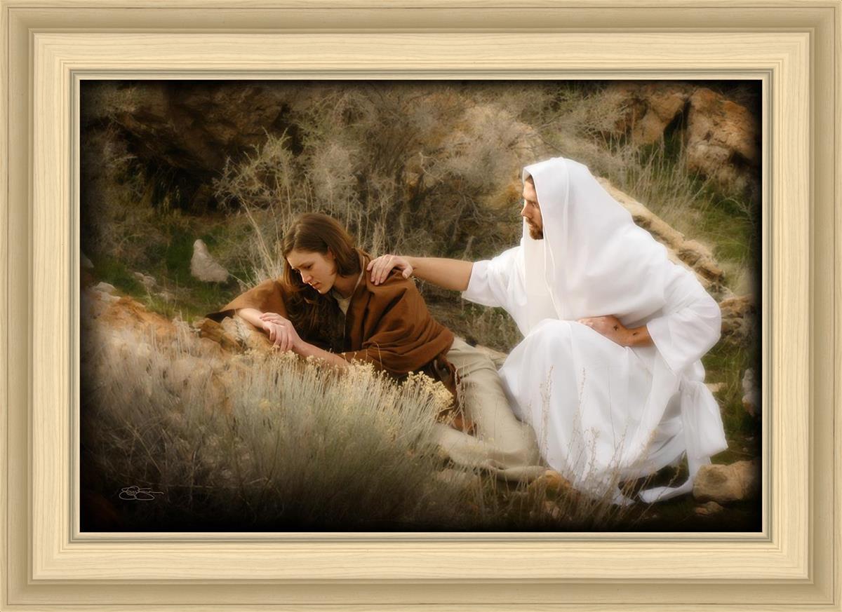 The Comforter