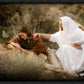 The Comforter
