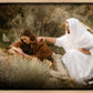 The Comforter