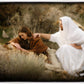 The Comforter