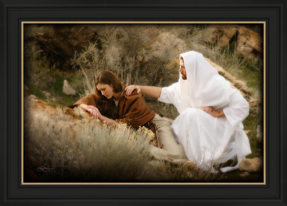 The Comforter
