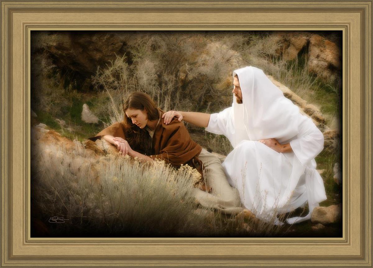 The Comforter