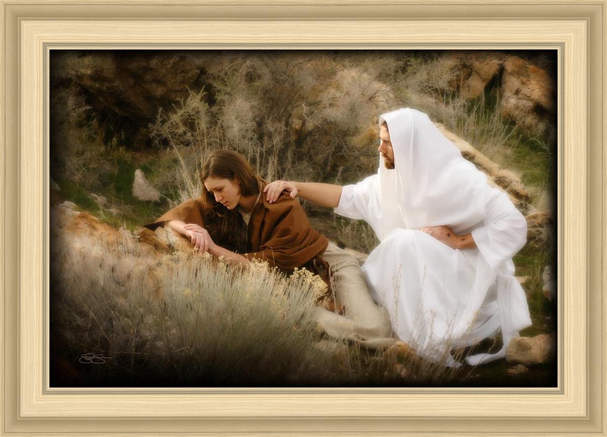 The Comforter