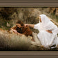 The Comforter
