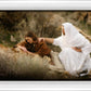 The Comforter