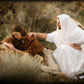 The Comforter