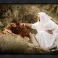 The Comforter
