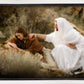 The Comforter