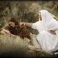 The Comforter