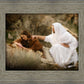 The Comforter