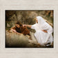The Comforter