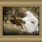 The Comforter